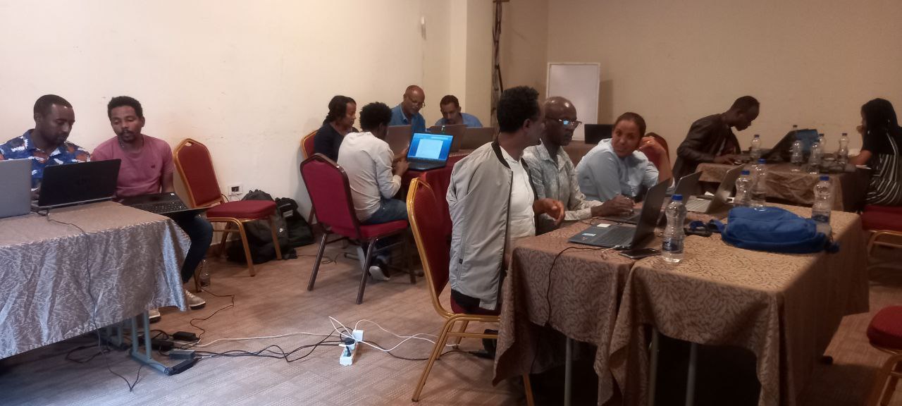 Mental health and psychosocial manual development workshops.